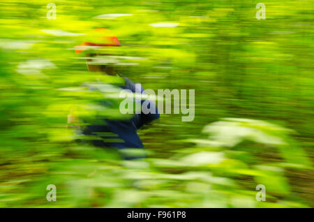 Una femmina di galleggianti pareggiatore attraverso la foresta in High Park, Toronto, Ontario Foto Stock