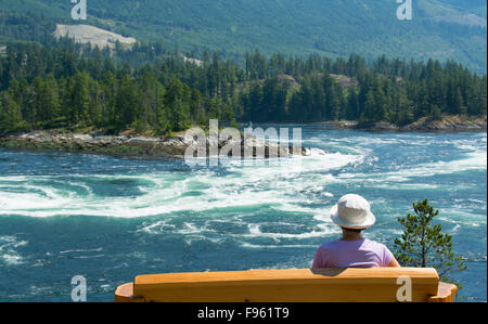 Skookumchuck si restringe, marea di declino Sechelt ingresso, Sunshine Coast, British Columbia, Canada Foto Stock