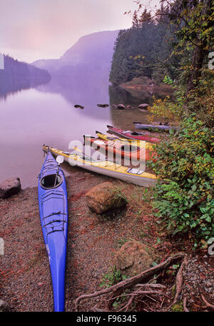 Canoe sulla spiaggia a Loon Lake, vicino a Maple Ridge, BC Foto Stock