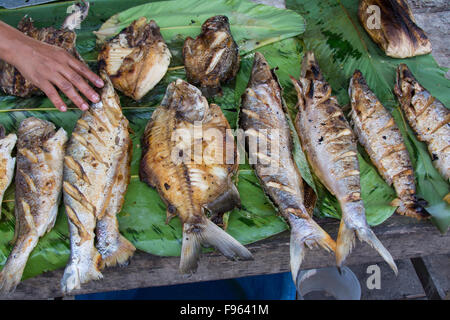 Scene di mercato, Iquitos, la città più grande nella foresta pluviale peruviana e la fifthlargest città del Perù Foto Stock