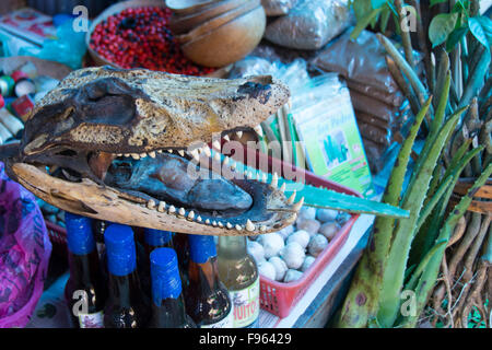 Scene di mercato, Iquitos, la città più grande nella foresta pluviale peruviana e la fifthlargest città del Perù Foto Stock