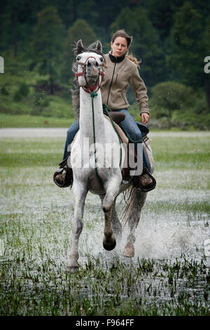 Una ragazza cavalca un cavallo bianco in acqua a Capilla vieja, Estado de Mexico, Messico. (Sfocatura) Foto Stock