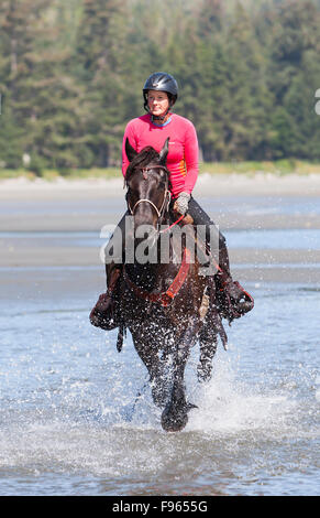 Un cavallo e cavaliere eseguire attraverso il basso pozze di marea lungo la spiaggia di storie vicino a Port Hardy. Foto Stock