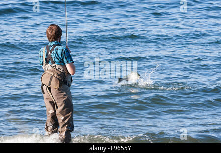 Un pescatore si aggancia a una rosa salmone mentre la pesca in spiaggia a Cluwexe Resort vicino a Port McNeill. Foto Stock