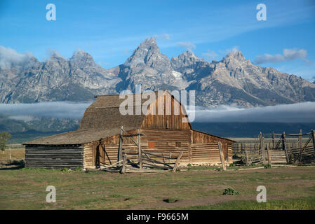 New Scenic 5 posti di Teton Mountain Range e la storica T.A. Moulton granaio sulla riga mormone in Grand Teton National Park, Jackson, Wyoming Foto Stock