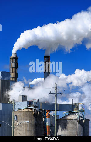 Inquinamento atmosferico da fumaioli presso un impianto di pasta di legno e carta, Terrazza Bay, Ontario, Canada Foto Stock