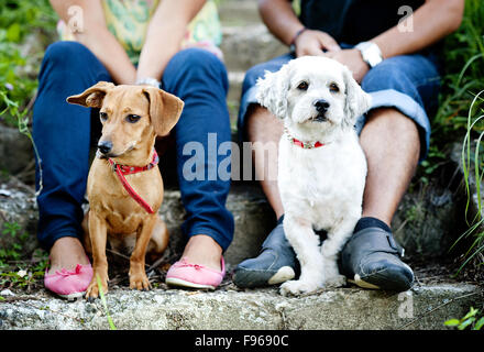 Felice coppia giovane è a piedi i loro due cani nel verde della natura Foto Stock