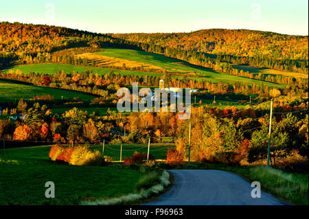 Un colorato paesaggio autunnale di una fattoria con campi intersecate da alberi decidui in caduta delle foglie. Questa immagine è stata acquisita Foto Stock