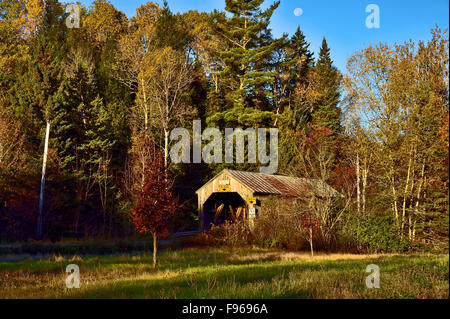 Una vista orizzontale della iconica coperta in legno ponte che attraversa la trota torrente a Urney vicino a poli Mountain New Brunswick Canada Foto Stock