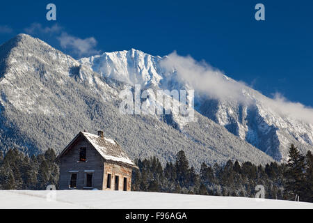 Abbandonato casa nella Columbia Valley vicino a Radium Hot Springs, British Columbia, Canada Foto Stock