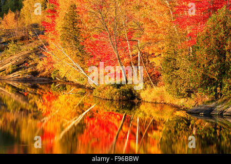 Autunno riflessioni, Simon Lago, Naughton, città di maggiore Sudbury, Ontario, Canada Foto Stock