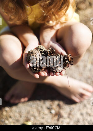 Close up della bambina con le mani in mano azienda pigne Foto Stock