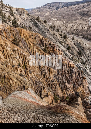 La British Columbia, Canada, regione Chilcotin, modelli di erosione, Churn Creek Area Protetta, metà Fraser River Canyon, Foto Stock