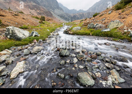 Canada, British Columbia, alpine stream, gamma Niut, Coast Mountains Chilcotin, Foto Stock