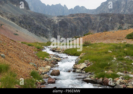 Canada, British Columbia, alpine stream, la gamma Niut, Coast Mountains Chilcotin, Foto Stock