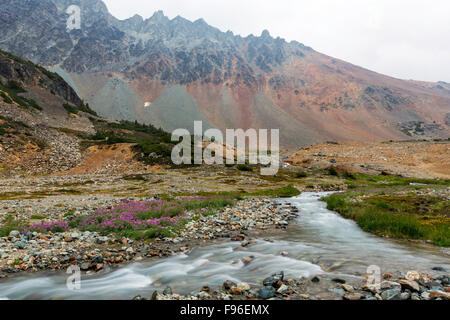 Canada, British Columbia, alpine stream, gamma Niut, Coast Mountains Chilcotin, Foto Stock