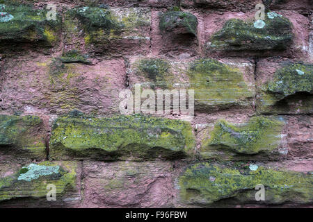 Weathered muri in pietra arenaria e pietra arenaria rossa, Baden-Württemberg, Germania Foto Stock