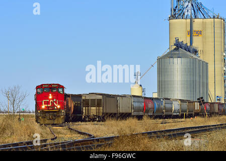 Un'immagine orizzontale di un Canadian National treno merci caricando la granella dal relativo terminale di stoccaggio vicino Morrinville Alberta Foto Stock