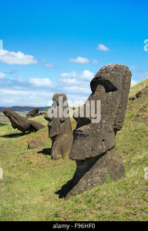 Il cerimoniale moai, Ranu Raraku, Isola di Pasqua Foto Stock