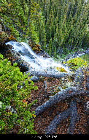 Un flusso che scorre dal lago di Scarabeo cascate nella valle vicino Egitto Lake, il Parco Nazionale di Banff, Alberta, Canada. Foto Stock