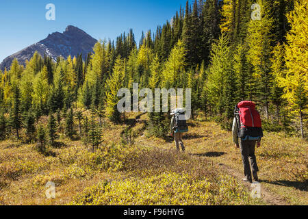 Due back packers escursione il sentiero per Baker lago nel Skoki wilderness area del Parco Nazionale di Banff, Alberta Canada. Modello Foto Stock