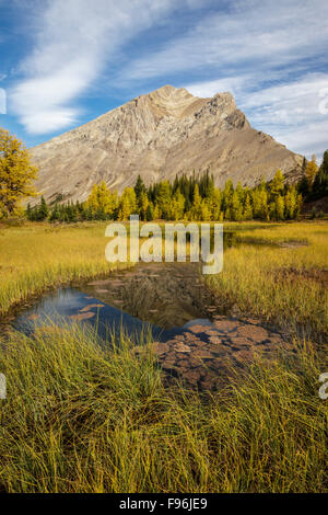 Un picco di montagna si riflette in un paludoso tarn vicino a Baker Lake nel Skoki wilderness area del Parco Nazionale di Banff, Alberta, Foto Stock