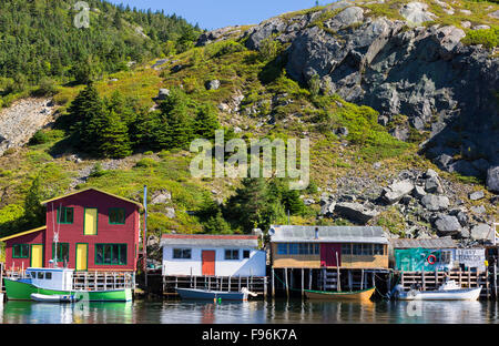 Quidi Vidi, San Giovanni, Terranova, Canada Foto Stock