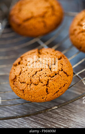 Biscotti di Natale Foto Stock