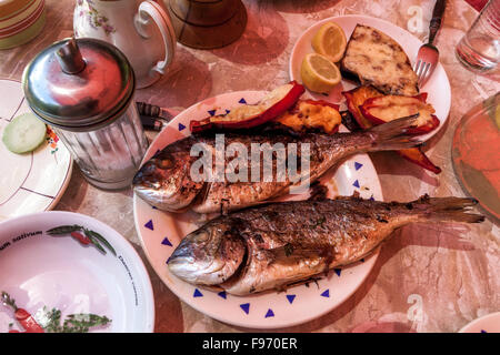 Grigliate Sea Beam in piatto dorado pasto di pesce Foto Stock