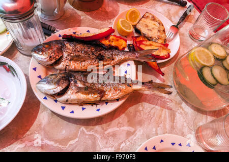 Grigliate Sea Beam in piatto dorado pasto di pesce Foto Stock