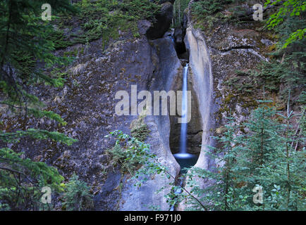 Conca cade jasper park Foto Stock