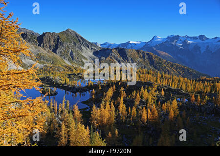 Monica prati purcell montagne, British Columbia, Canada Foto Stock