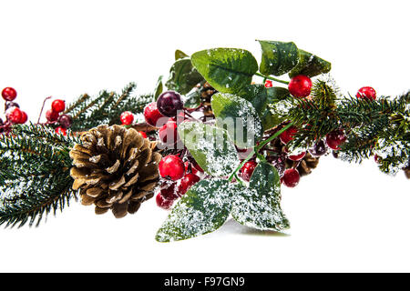 Decorazione di Natale composizioni floreali su sfondo bianco. Foto Stock