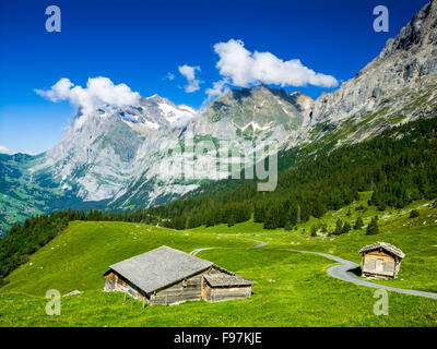 Scenario delle Alpi con Grindelwald Village in Berner Oberland, Svizzera, Foto Stock