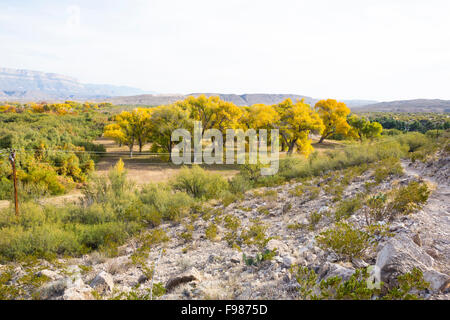 Le sorgenti calde Trail a Rio Grande villaggio, parco nazionale di Big Bend, Texas Foto Stock