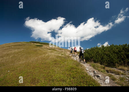 Gli escursionisti sulla cima delle montagne sono a riposo nella natura selvaggia. Foto Stock