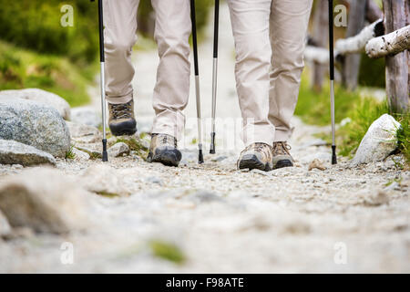 Close-up di gambe di coppia senior di escursioni presso le belle montagne Foto Stock