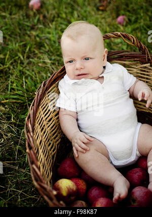 Happy baby boy giacente nel cesto con mele nella natura Foto Stock