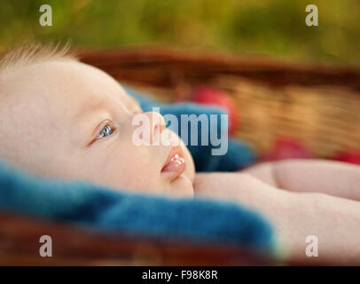Happy baby boy giacente nel cesto con mele nella natura Foto Stock