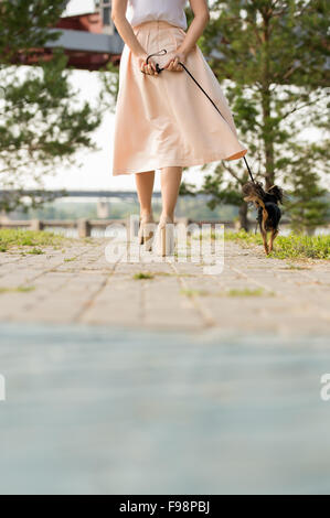 Irriconoscibile lady a piedi con il suo cane sul piombo in estate park. Vista da dietro Foto Stock