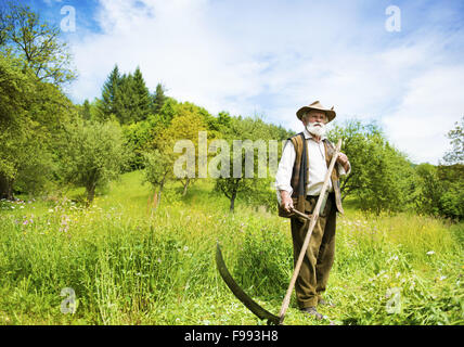 Vecchio contadino con la barba utilizzando falce di falciare l'erba tradizionalmente Foto Stock