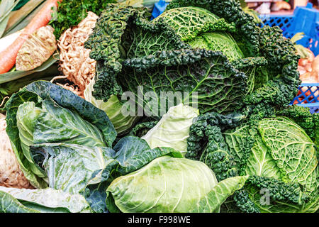 Cavoli freschi disposizione Foto Stock