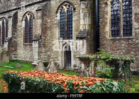 Una parte della superficie esterna della chiesa parrocchiale di San Pietro e San Paolo in Headcorn, Kent, Inghilterra Foto Stock