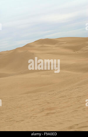 Imperial dune di sabbia Recreation Area California USA Foto Stock