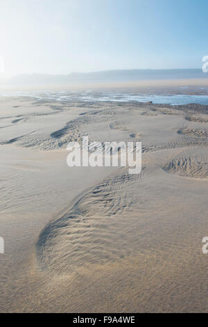 Nebbia di mattina e la nebbia sulla spiaggia di Scremerston, Berwick Upon Tweed, Northumberland, Inghilterra. Foto Stock