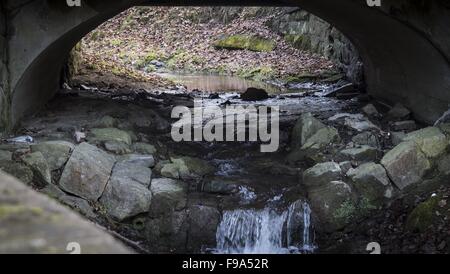 Flusso Kryniczanka vicino Dietl boulevard a Krynica Foto Stock