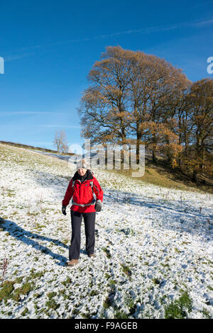 Una donna che indossa una giacca a vento rosso a piedi nella neve un campo coperto in inverno in Cumbria il Lake District Uk Foto Stock