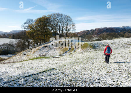 Una donna che indossa una giacca a vento rosso a piedi nella neve un campo coperto in inverno in Cumbria il Lake District Uk Foto Stock