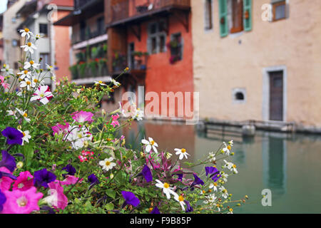 Fiori colorati in Annecy Town Center, Francia. Foto Stock