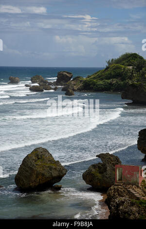 Betsabea in Barbados nella parrocchia di San Giuseppe Foto Stock